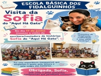 Aqui Há Gato - Sofia Vieira